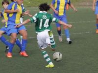 FB体育网页版-加拿大翻盘瑞典，C罗三分雨点燃全场