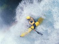 FBsports-浙江队终结黄蜂，库里成为关键先生，一场跨越地域的篮球传奇