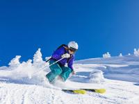 FB体育在线-世界排名争夺战焦点战，郁金香绽放，荷兰全面制霸英格兰