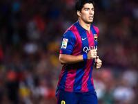 FB体育在线-2026世界杯焦点战，猛龙生死战取胜森林狼，预示国际篮球新格局