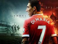 FB体育APP-跨界主宰，从欧冠决赛到CBA赛场，霍勒迪与76人的统治性启示