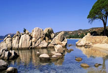 FB体育-过硬底线防守！遏制对手快攻能力！