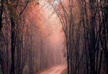 FB体育-铁血逆转夜！凯尔特人上演惊天翻盘，裁判哨声撕裂绿茵场